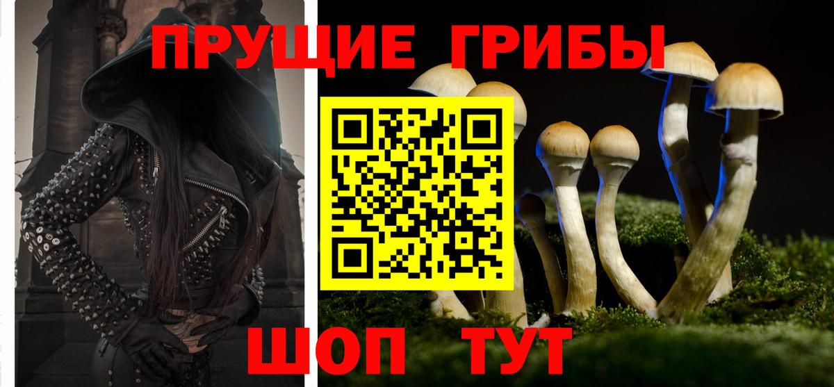 Псилоцибиновые грибы Psilocybe  Вход с VPN  Батайск 